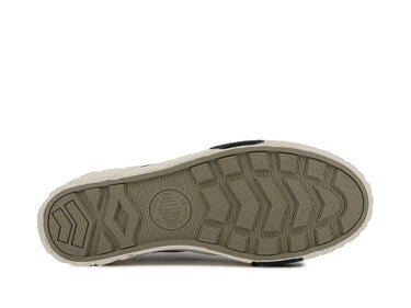 Ace City Shell Lo 2 Ace City Shell Lo 2