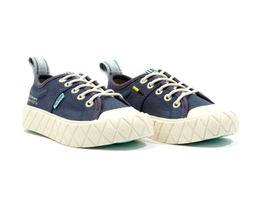 Ace Kids Lo Supply Ace Kids Lo Supply