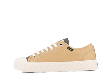 Palla Ace Cvs Org Palla Ace Cvs Org