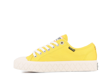 Palla Ace Cvs Org Palla Ace Cvs Org