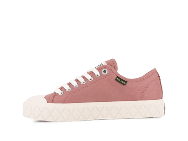 Palla Ace Cvs Org Palla Ace Cvs Org