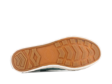 Palla Ace Cvs Org Palla Ace Cvs Org