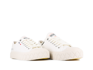 Palla Ace Cvs Org Palla Ace Cvs Org