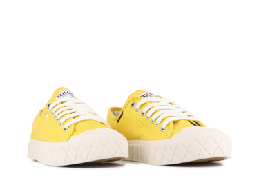 Palla Ace Cvs Org Palla Ace Cvs Org