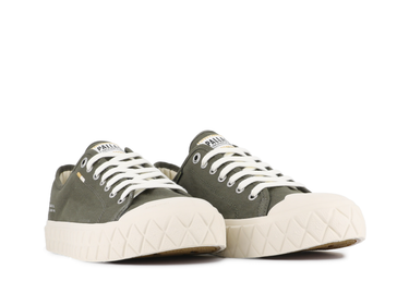 Palla Ace Cvs Org Palla Ace Cvs Org