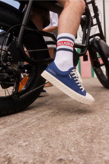 Palla Ace Cvs Org Palla Ace Cvs Org