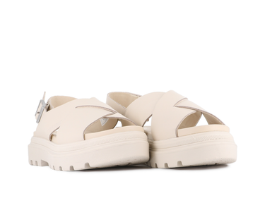 Pallacruise Crossed Pallacruise Crossed