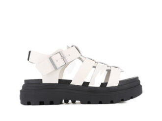 Pallacruise Fisherman Pallacruise Fisherman