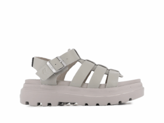 Pallacruise Fisherman