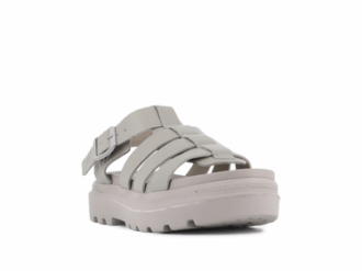 Pallacruise Fisherman