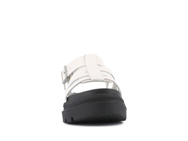 Pallacruise Fisherman Pallacruise Fisherman