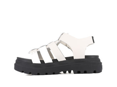 Pallacruise Fisherman Pallacruise Fisherman