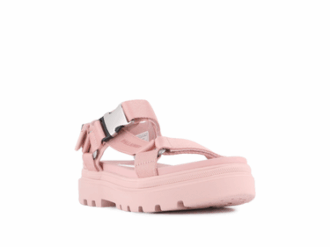 Pallacruise Strap Pallacruise Strap