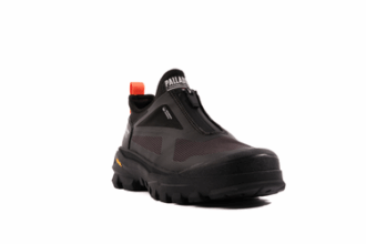 Pallarider Amphi Wpa