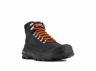 Pallarider Thins Wp+